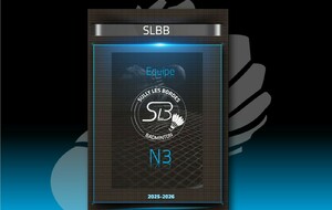 N3 Poule 10 45-CLTO-2 N3 contre 45-SLB-1 N3